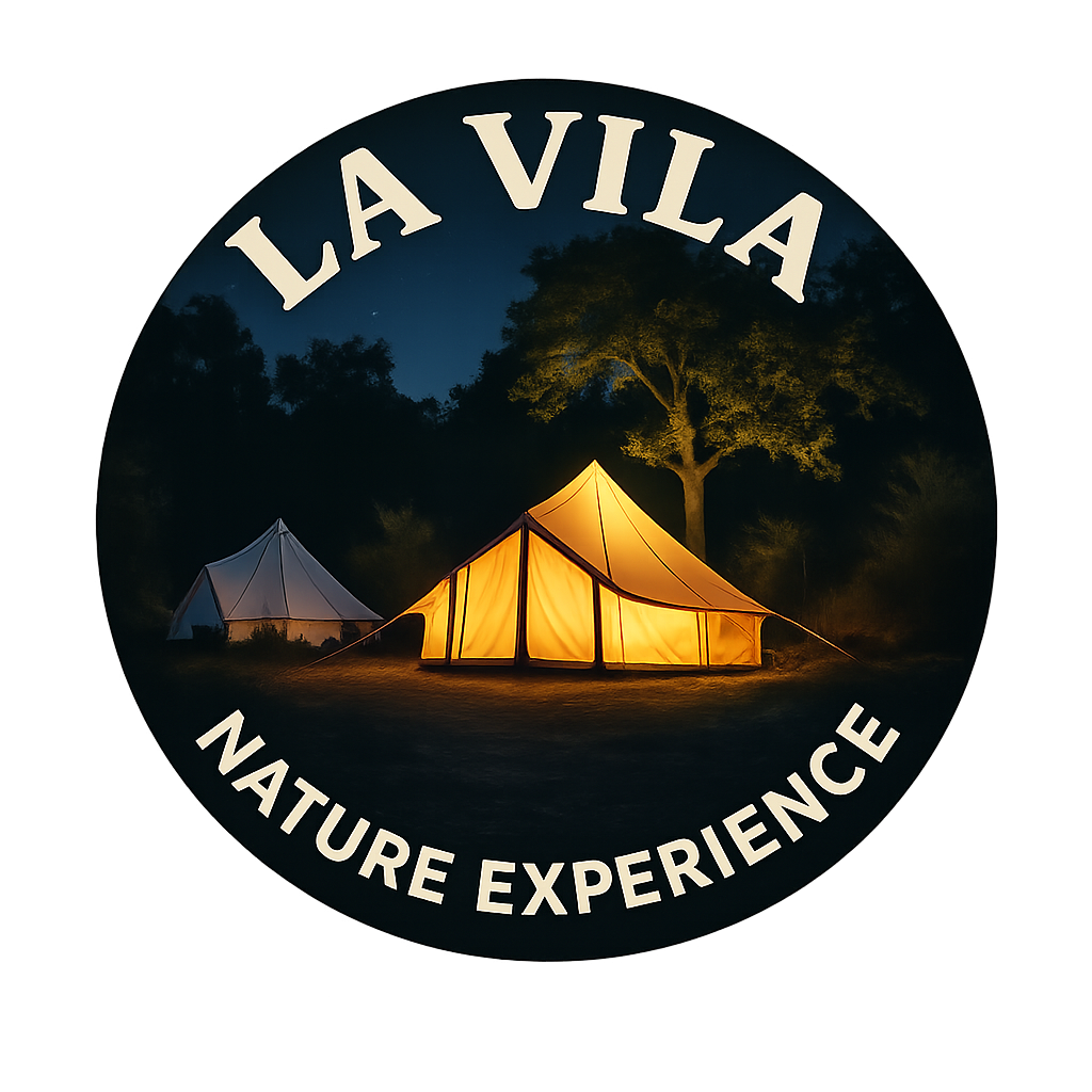 8722e91c-ccf2-4344-97e5-f9bd55b31cdf