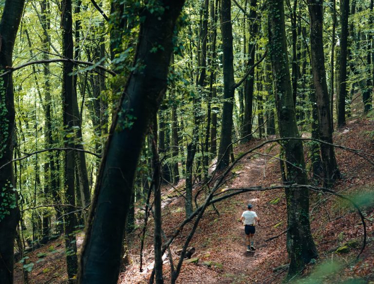 Trail runner on a forest path between tall beech trees in the Bosc de les Roques Encantades