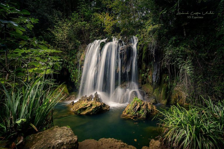 Waterfall of the Gorg del Molí dels Murris with crystal-clear water surrounded by lush greenery